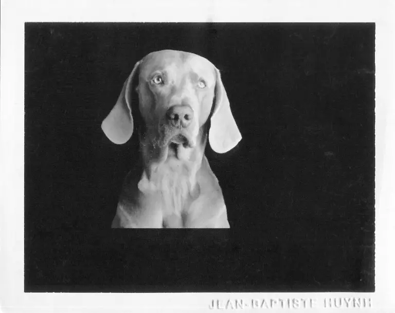 Huynh, Jean-Baptiste_CW157394